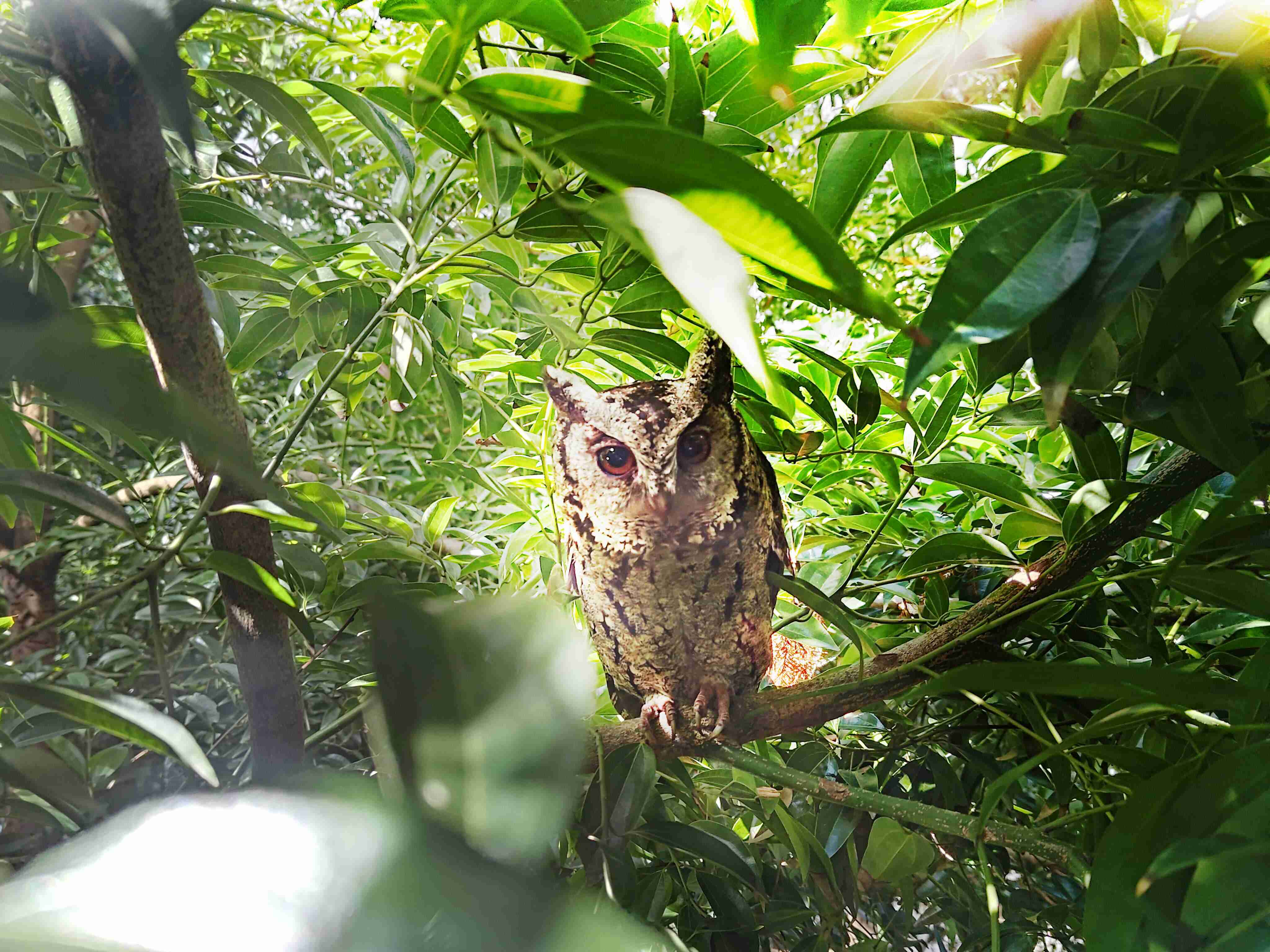 人生就是博致力提倡净零绿生活，，，，16年以来在全球各厂区植树逾百万棵，，造就各厂区树木蔚然成林，，，，犹如森林工厂，，，成为许多生物的栖息地